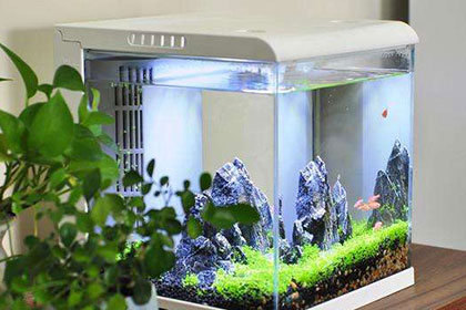 智能生態(tài)魚缸方案開發(fā)