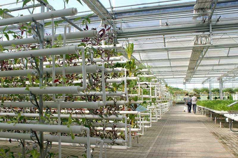 智能溫室大棚系統(tǒng)設(shè)計(jì)