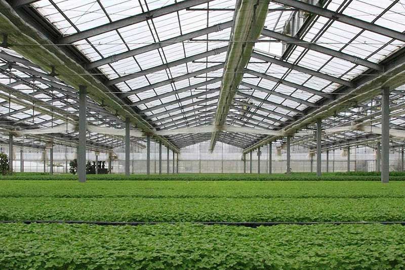 智能溫室方案公司