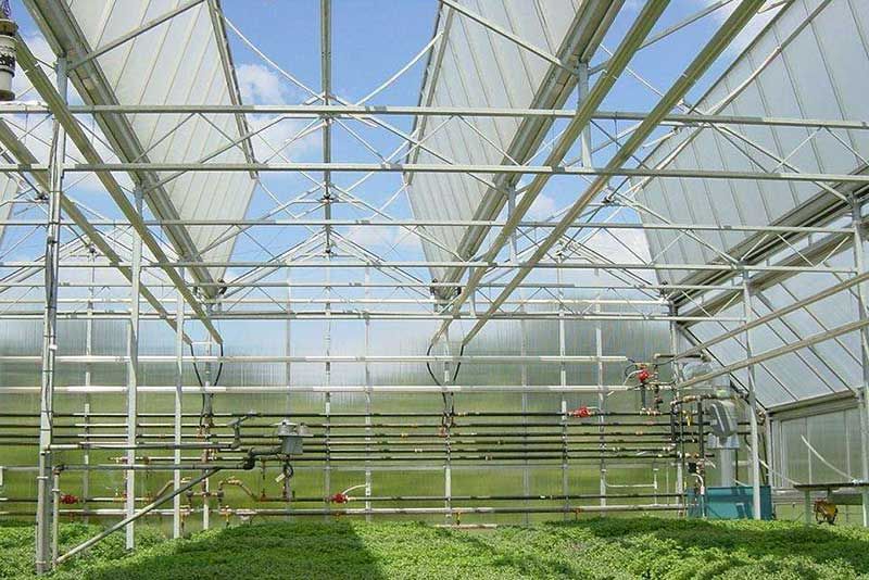 智能大棚系統(tǒng)開發(fā)