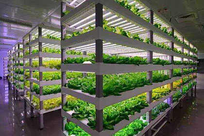 植物照明系統(tǒng)方案設(shè)計(jì)